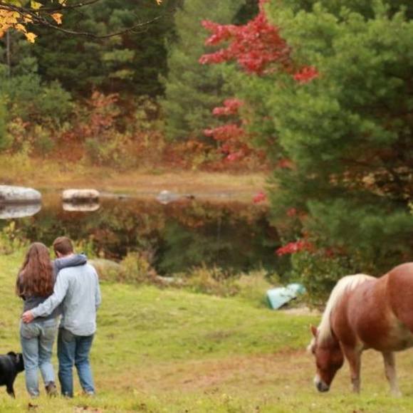 Meet your Posher, Coco - Picture 1 of 1